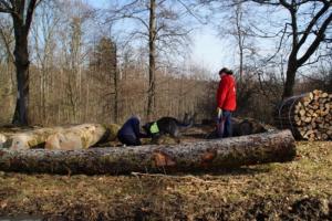 17.02.2019 Training Nanzenbach